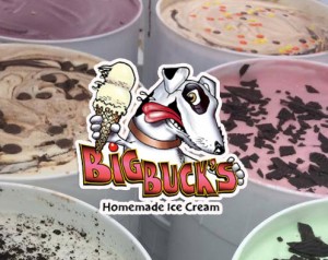 big-bucks-icecream-corolla.jpg