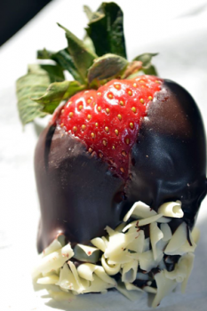 chocolate-strawberrys.png
