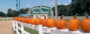 Grandy NC Farm Market