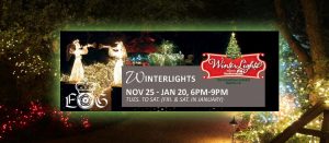 Winter Lights Outer Banks