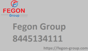 Fegon Group - logo.png